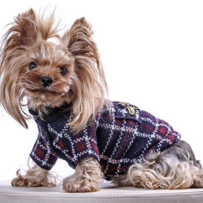 Pulover za male pse od vune i kašmira