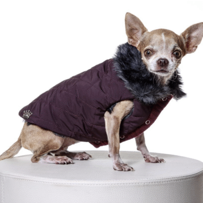 Elegantni bordo kaputić za pse s krznenim ovratnikom i prošivom made in Italy